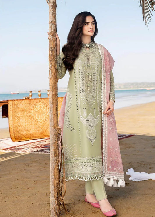 EL-CH10 Embroidered ChickenKari Lawn Suit With Printed Organza Dupatta
